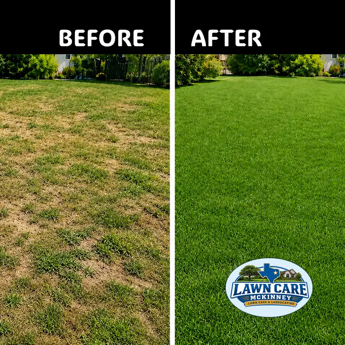weed control McKinney TX